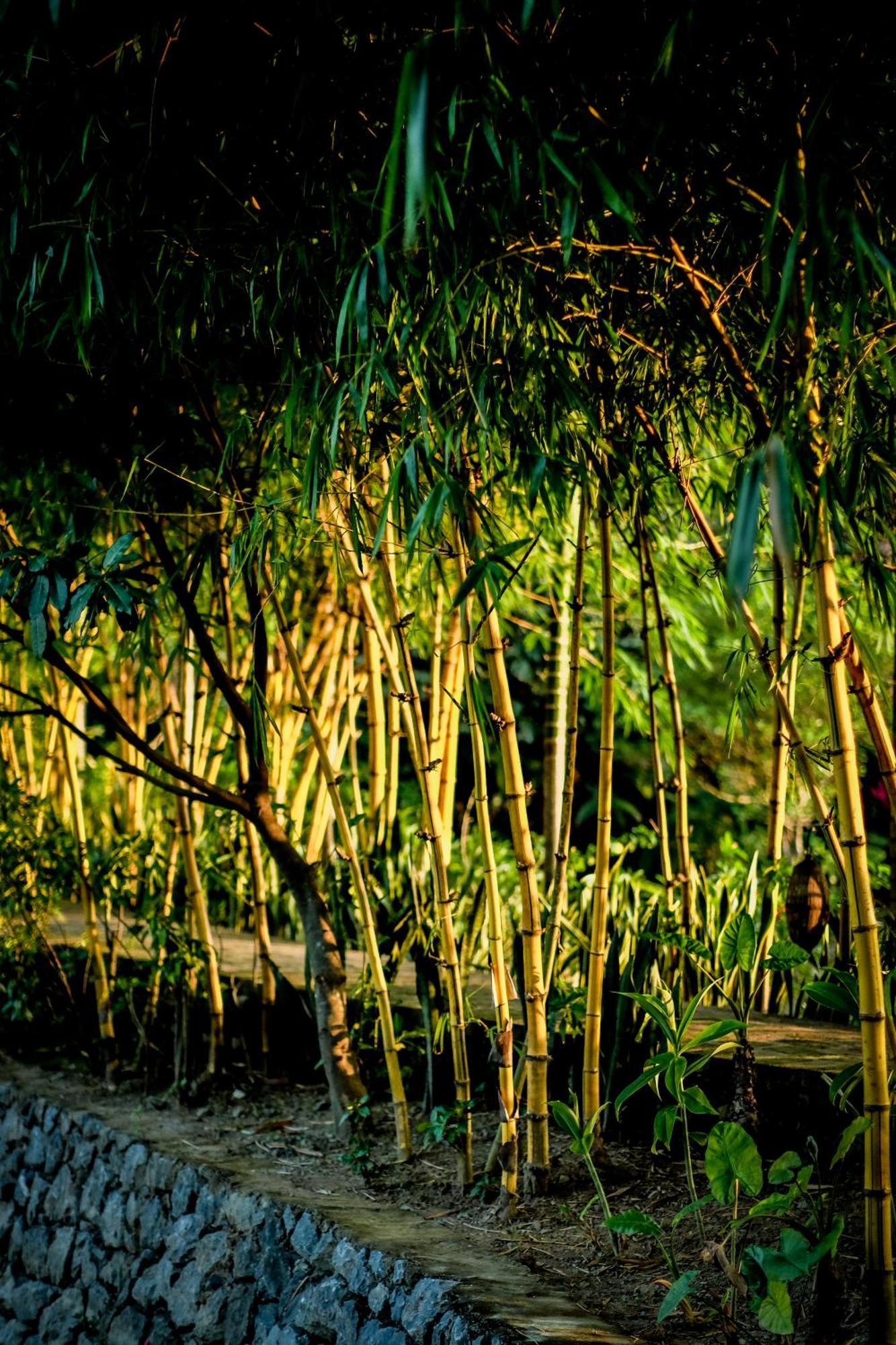 Tam Coc Garden Resort Ninh Binh Exteriér fotografie